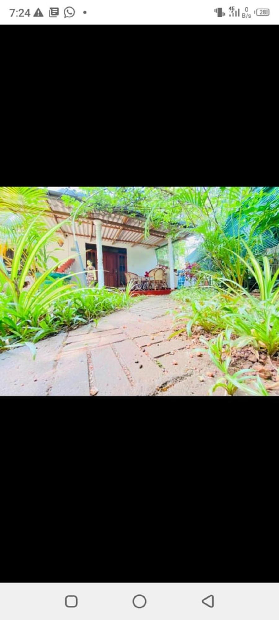 Sigiri Kp Family Home Sigirîya Extérieur photo